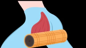 Lee más sobre el artículo Liberación miofascial del piriforme (Piriformis SMR): instructivo paso a paso para realizarlo de forma correcta